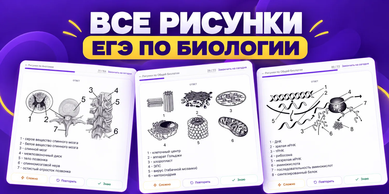 Обложка: Все рисунки ЕГЭ и ОГЭ по биологии