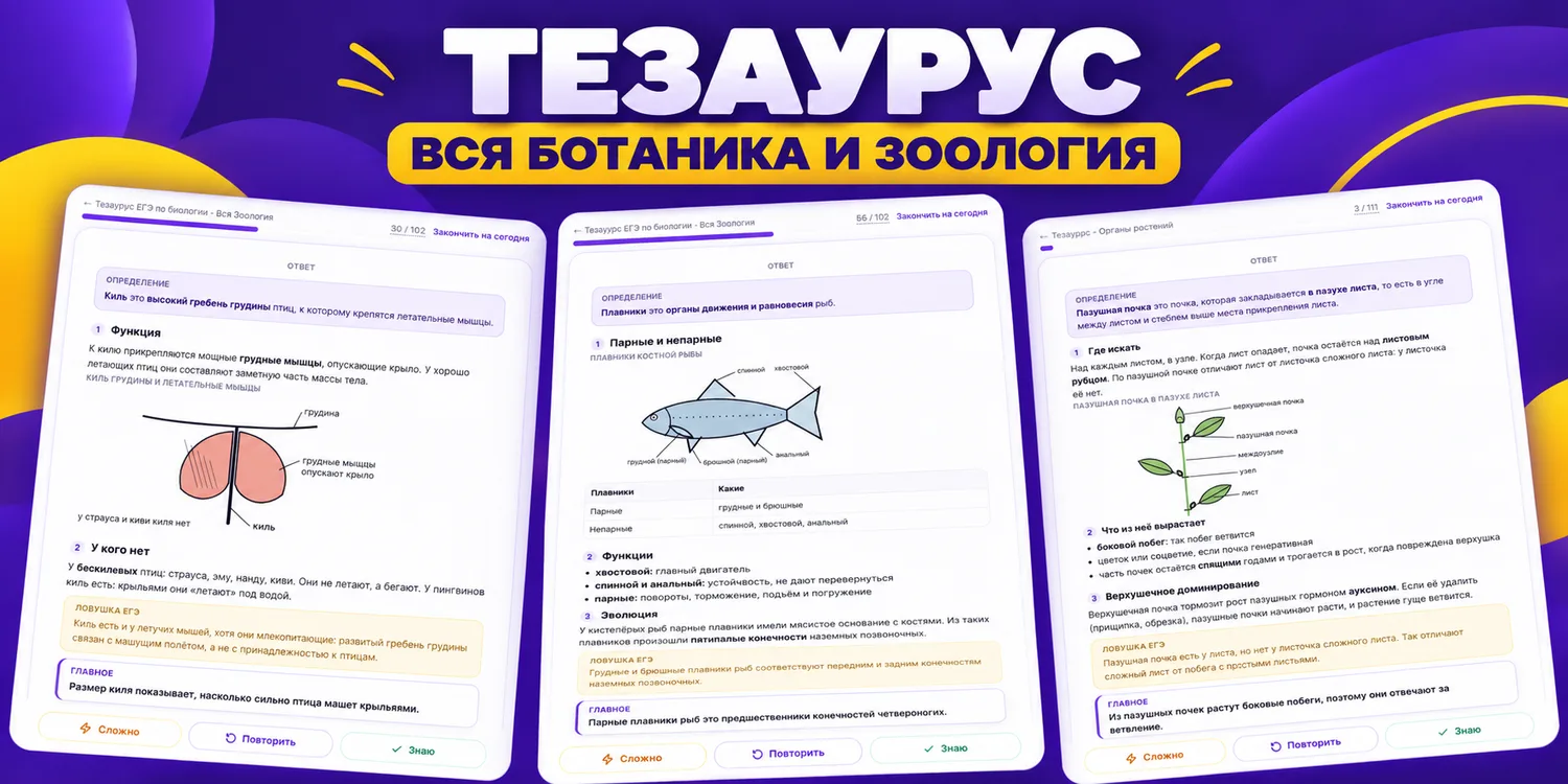 Обложка: Тезаурус ЕГЭ по биологии 2027