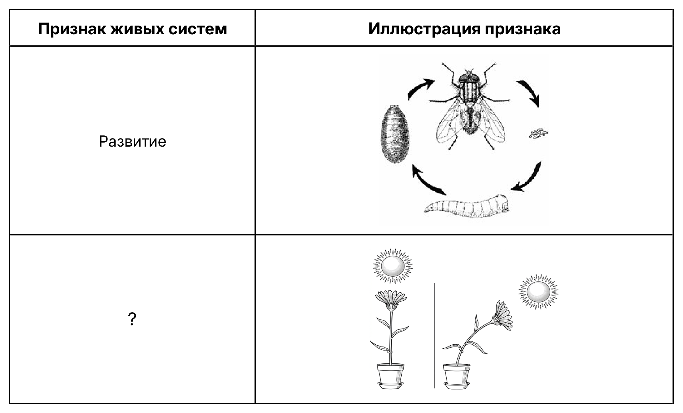 Рисунок