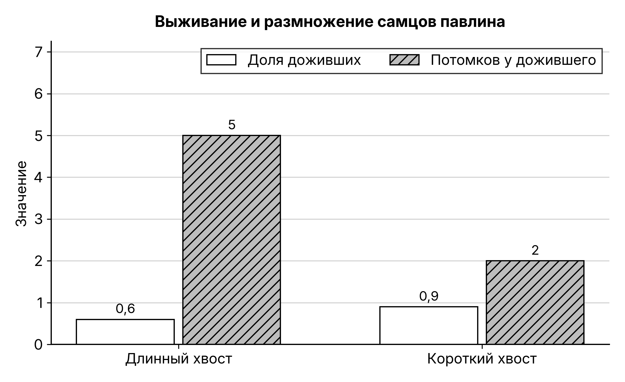 Рисунок