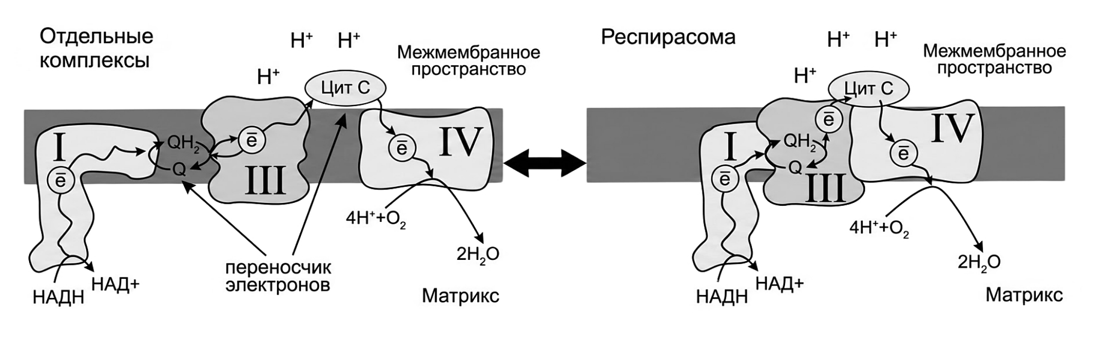 Рисунок