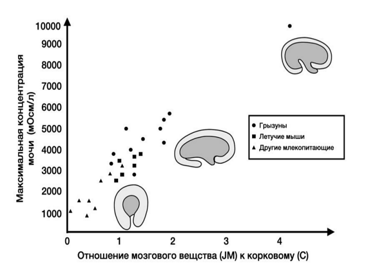 Рисунок