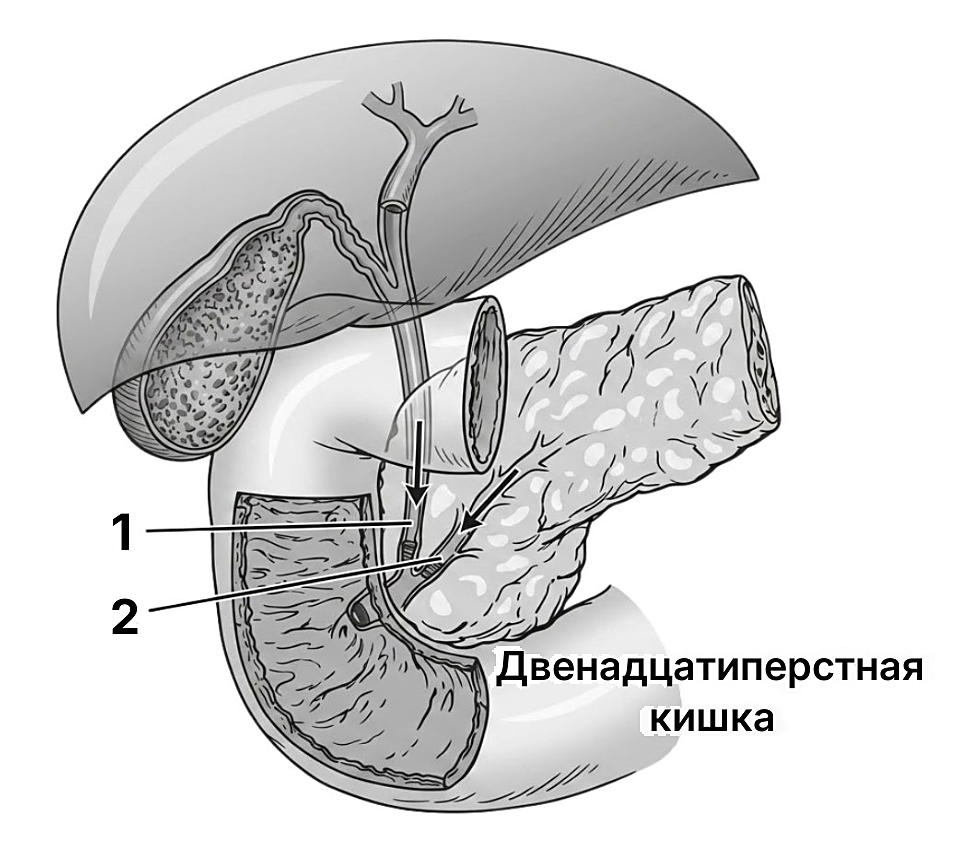 Рисунок