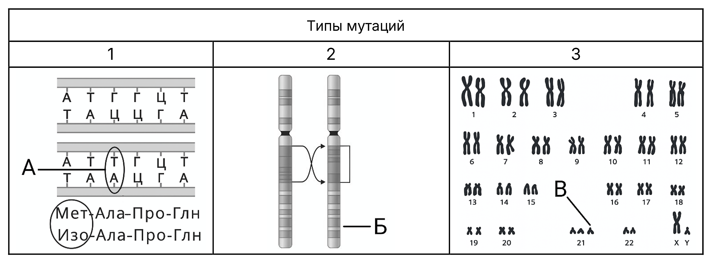 Рисунок