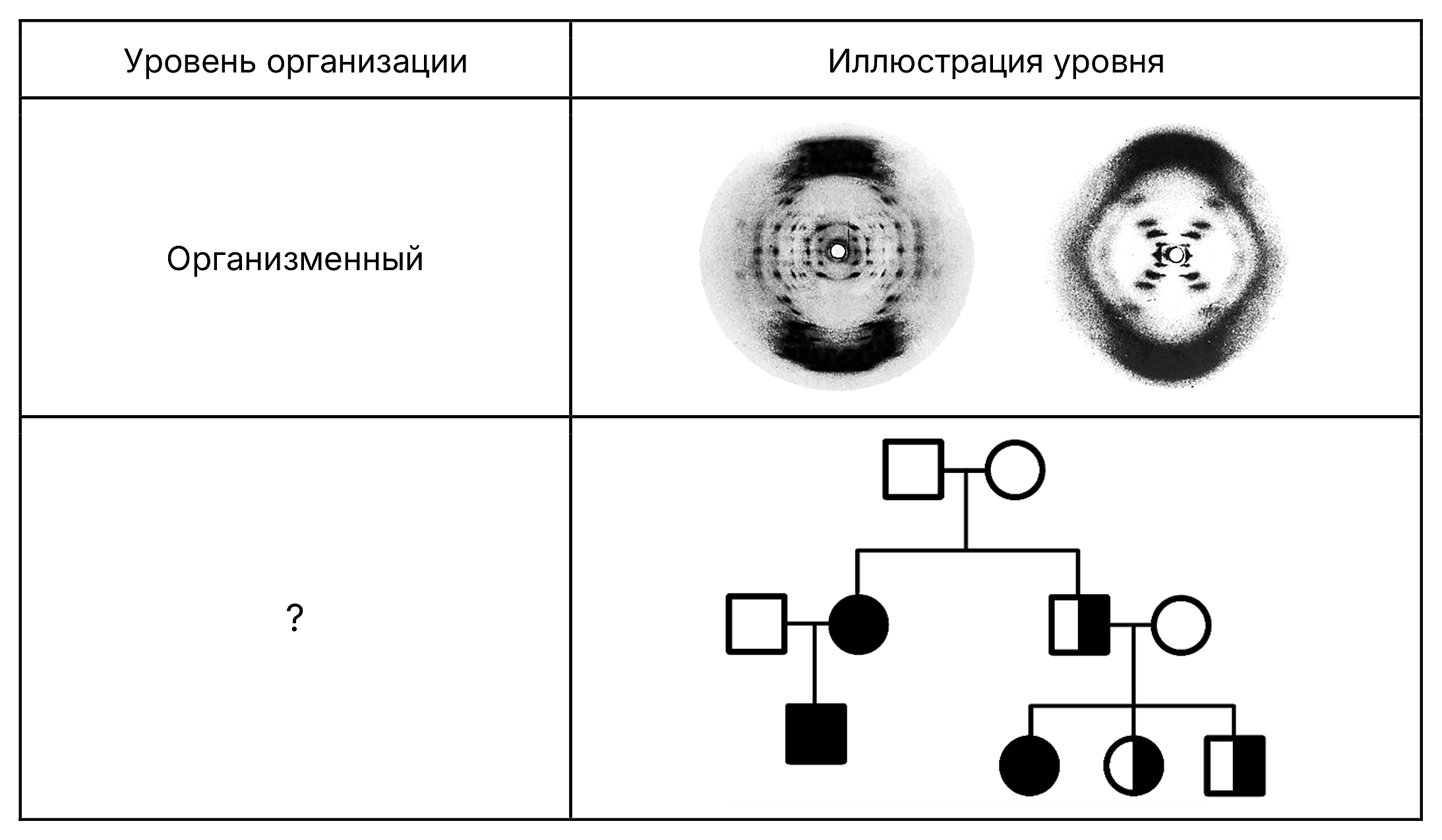 Рисунок