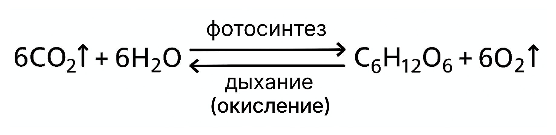 Рисунок
