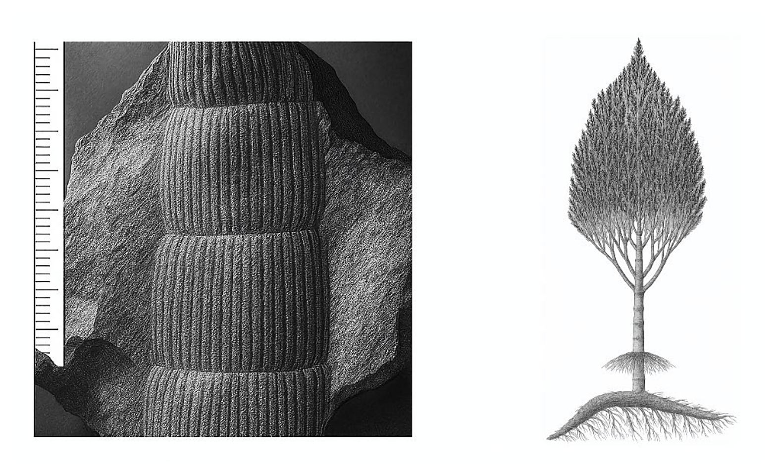 Рисунок