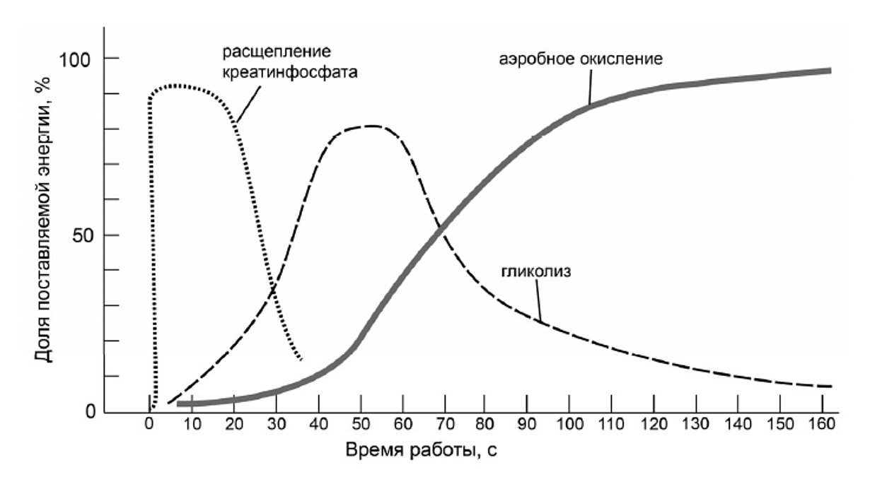 Рисунок