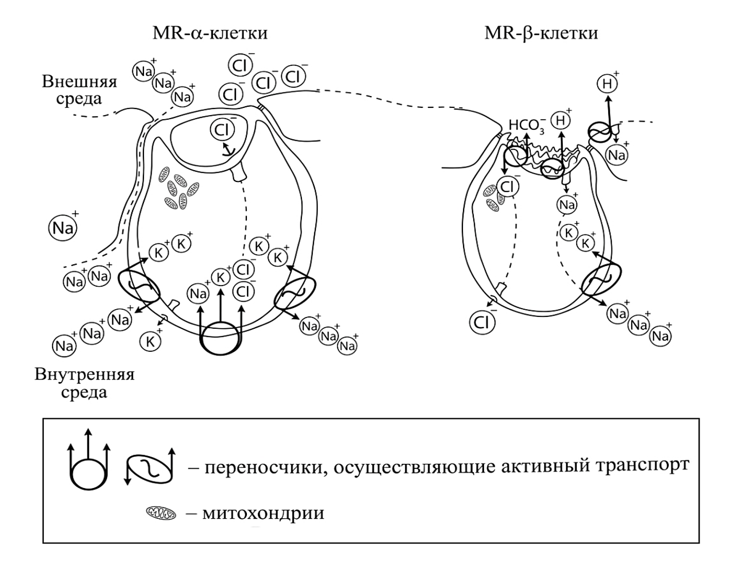Рисунок