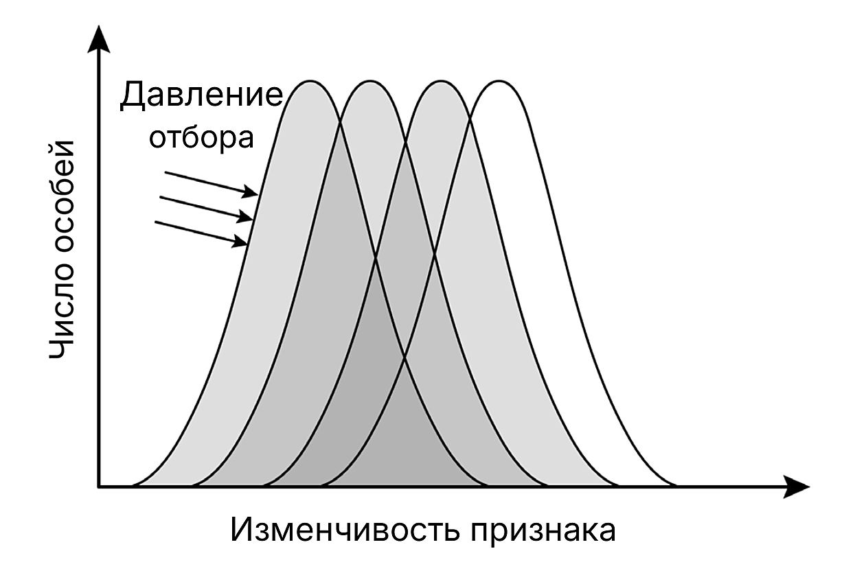 Рисунок