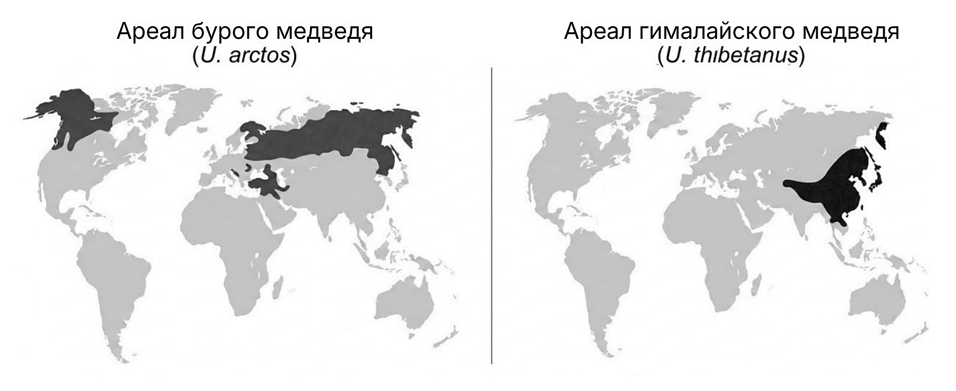 Рисунок