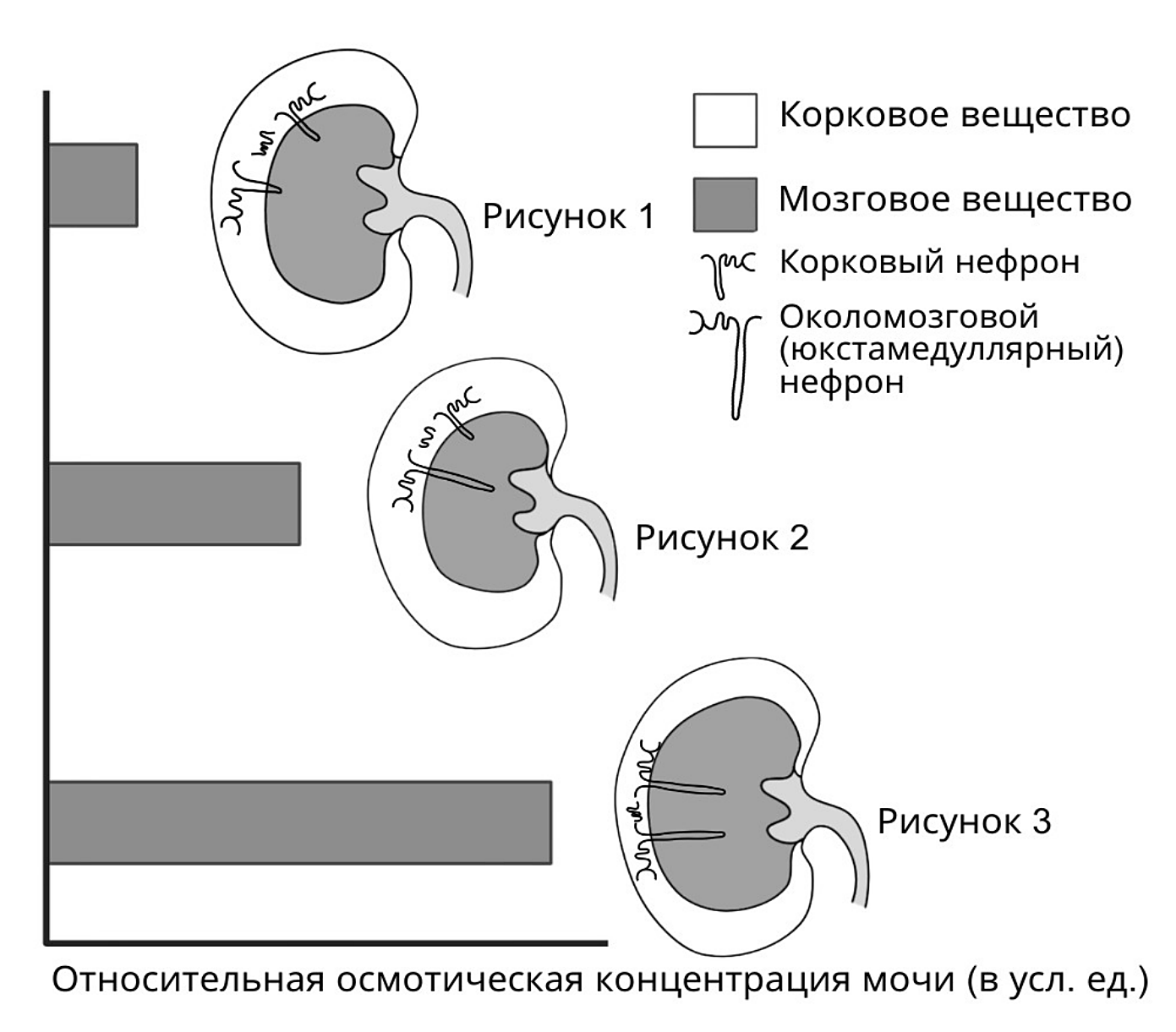 Рисунок