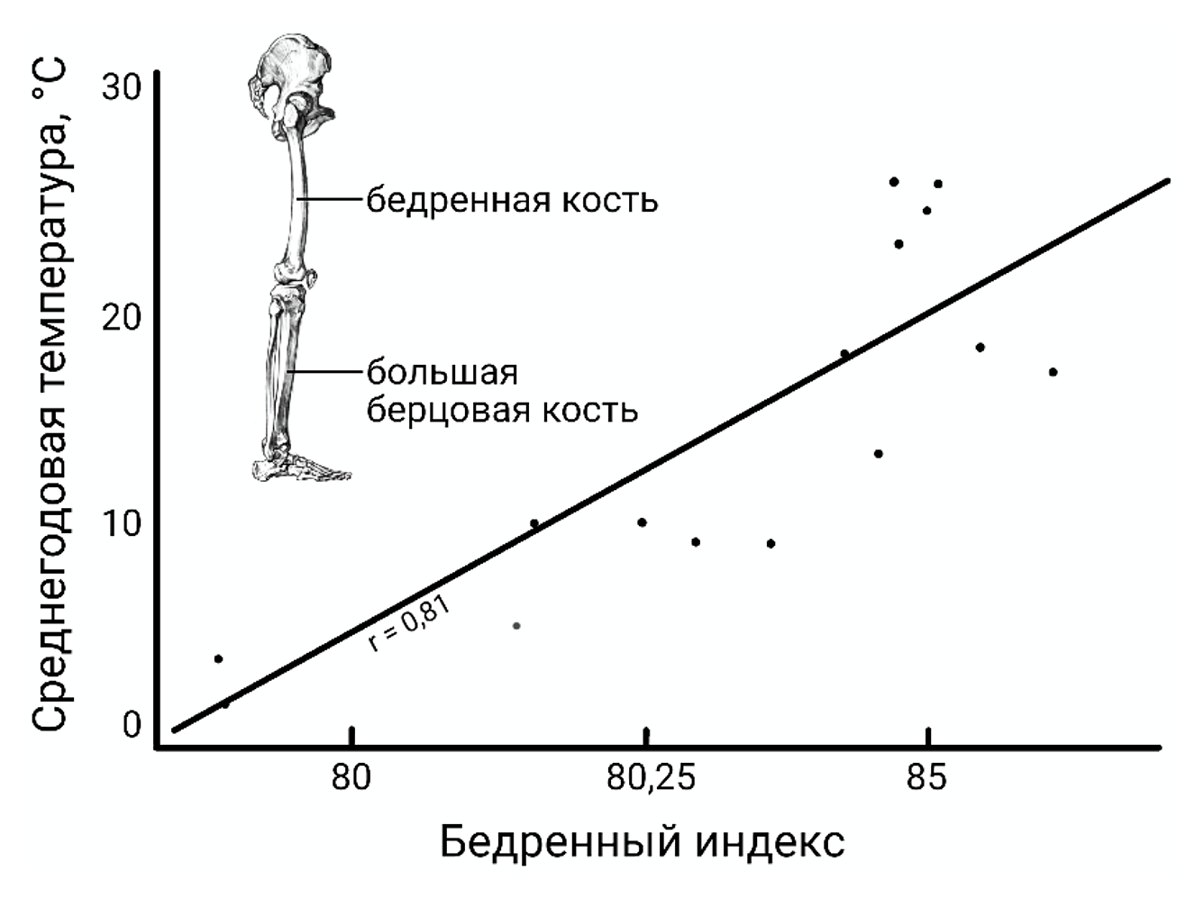 Рисунок