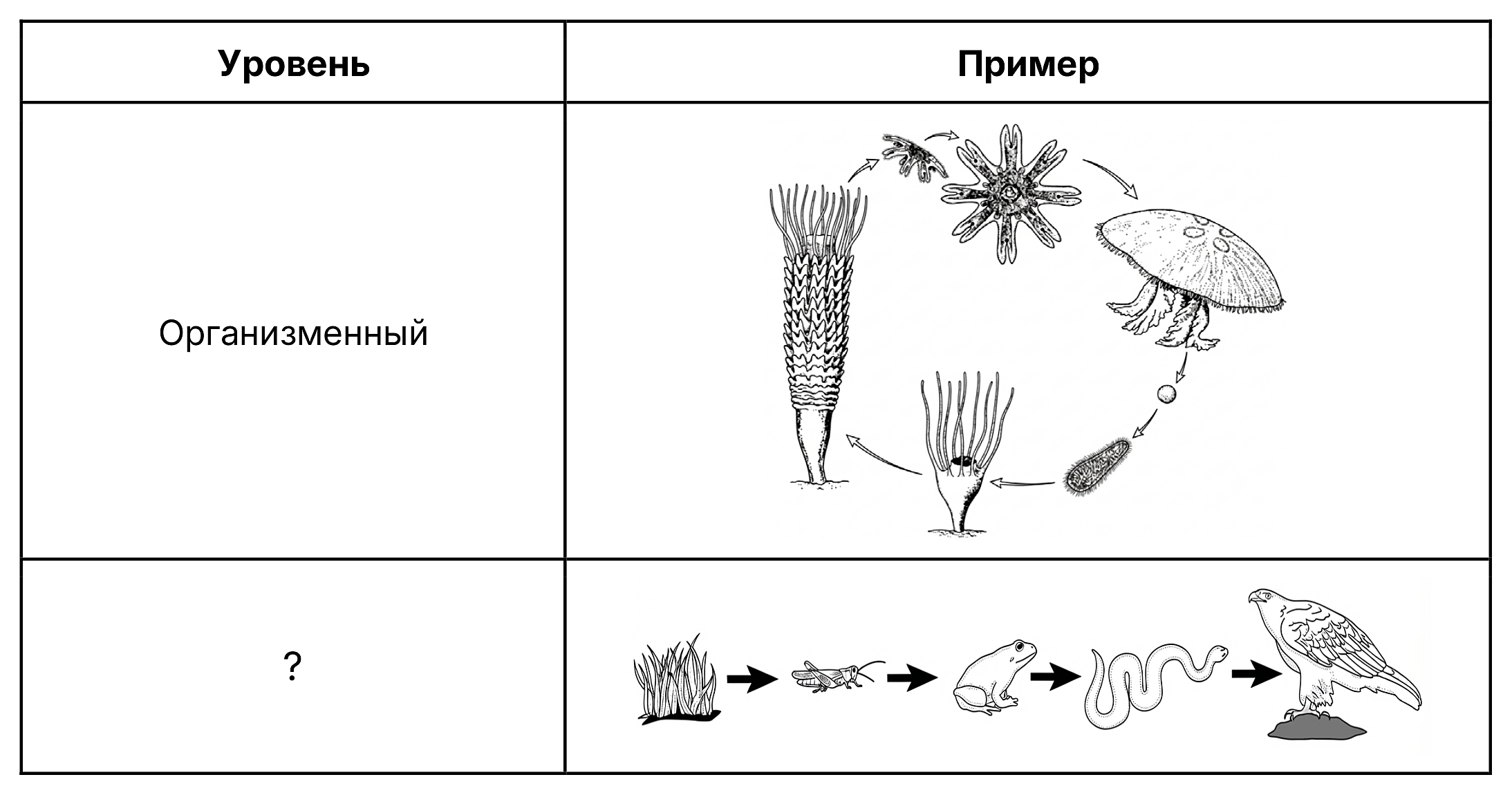 Рисунок