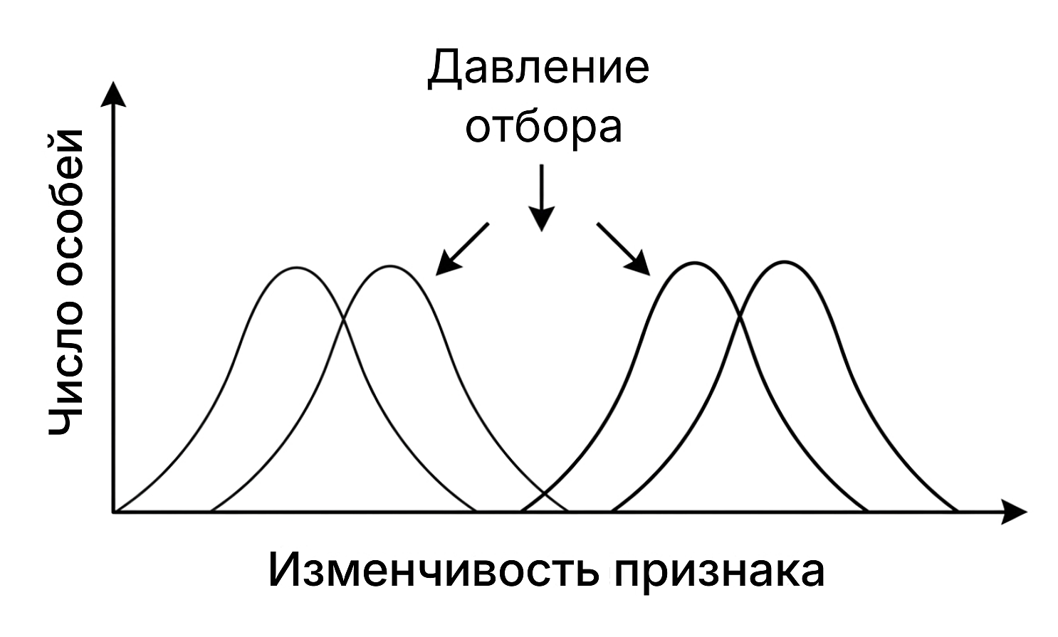 Рисунок
