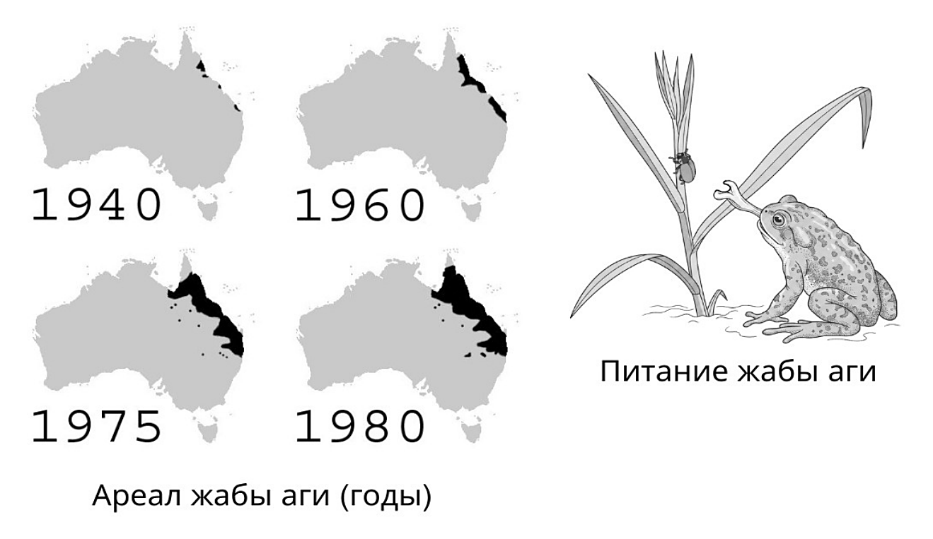 Рисунок