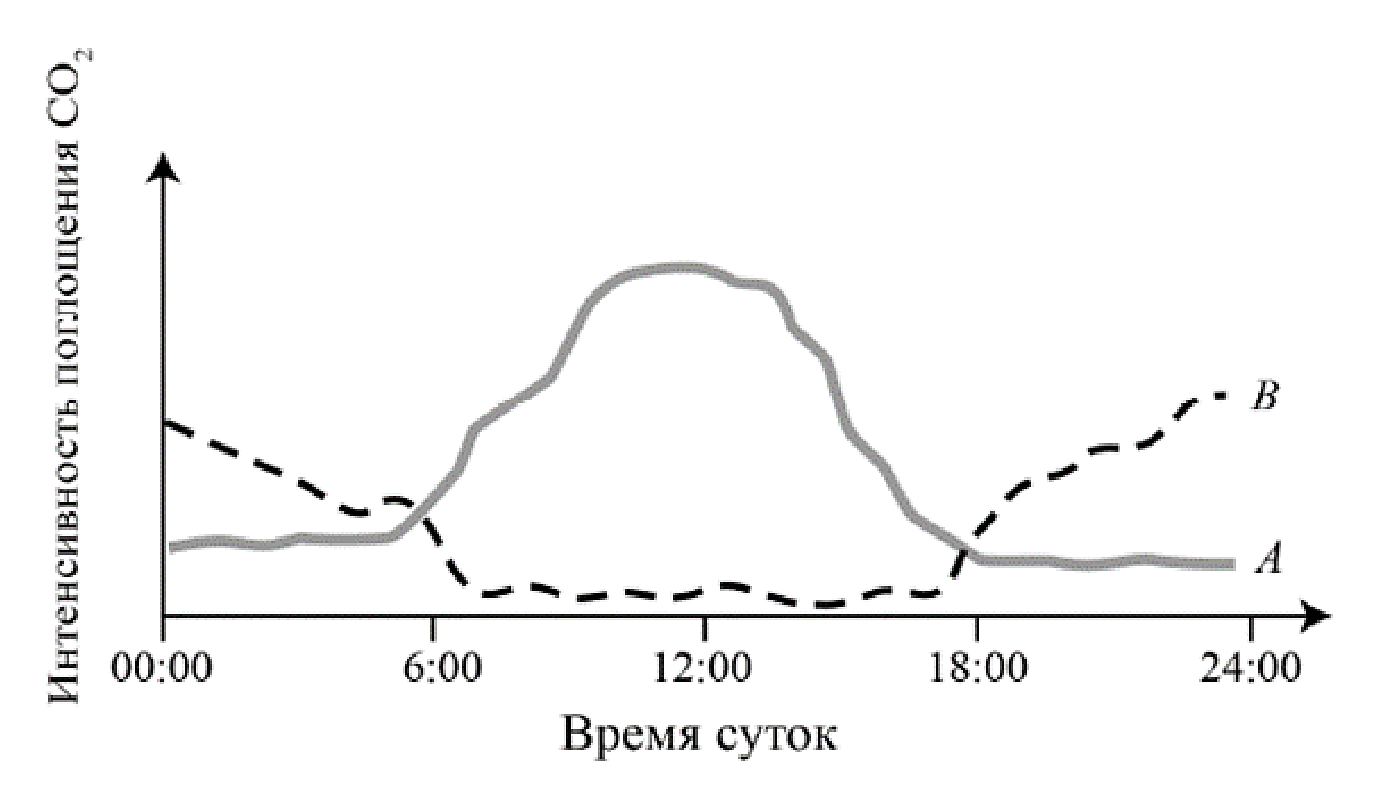 Рисунок