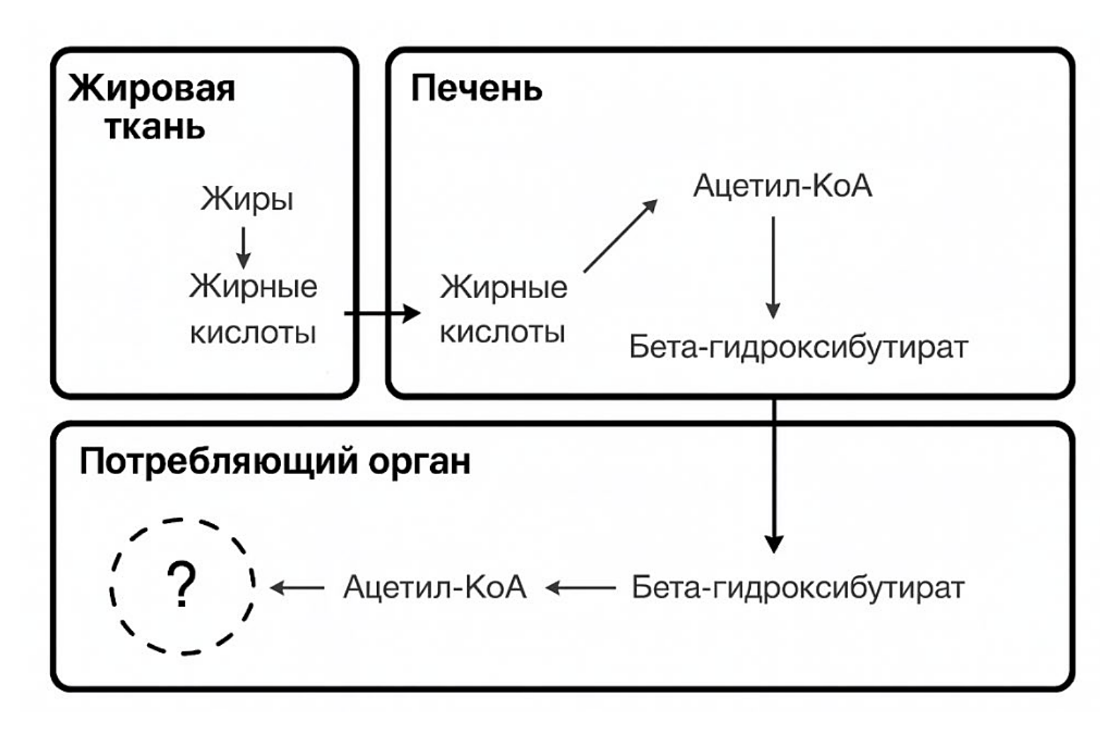 Рисунок