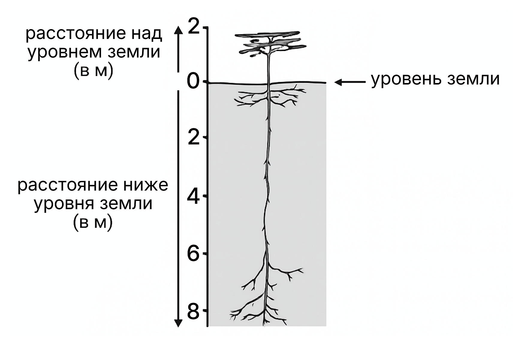 Рисунок