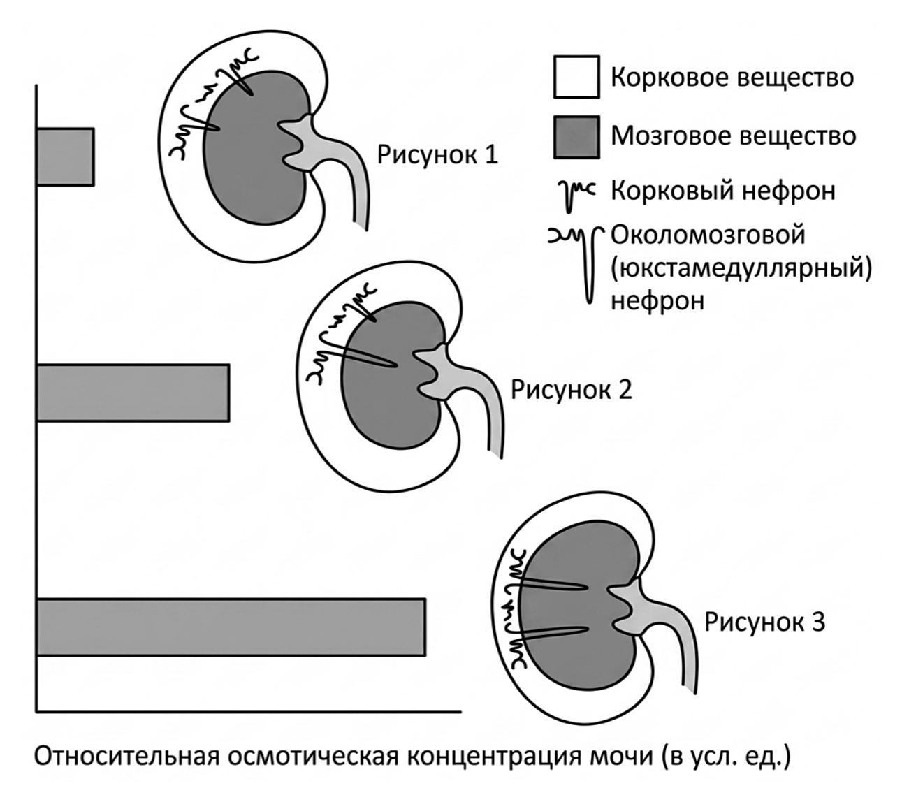 Рисунок