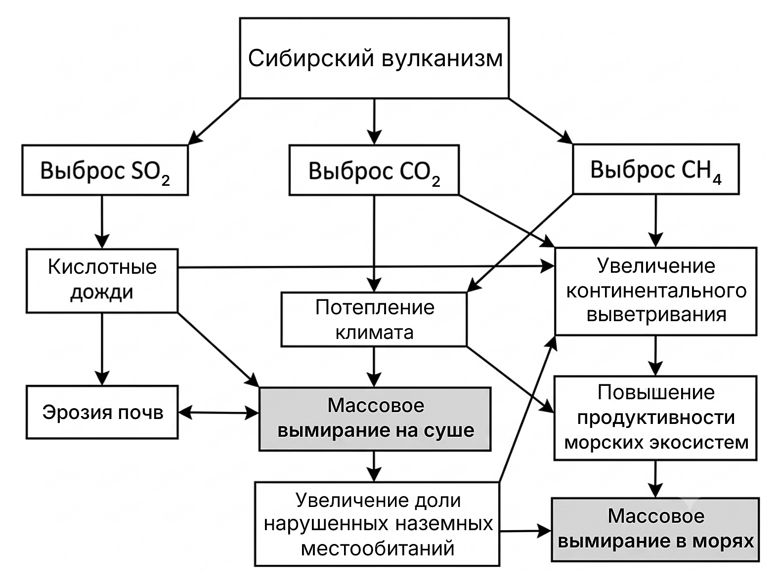 Рисунок