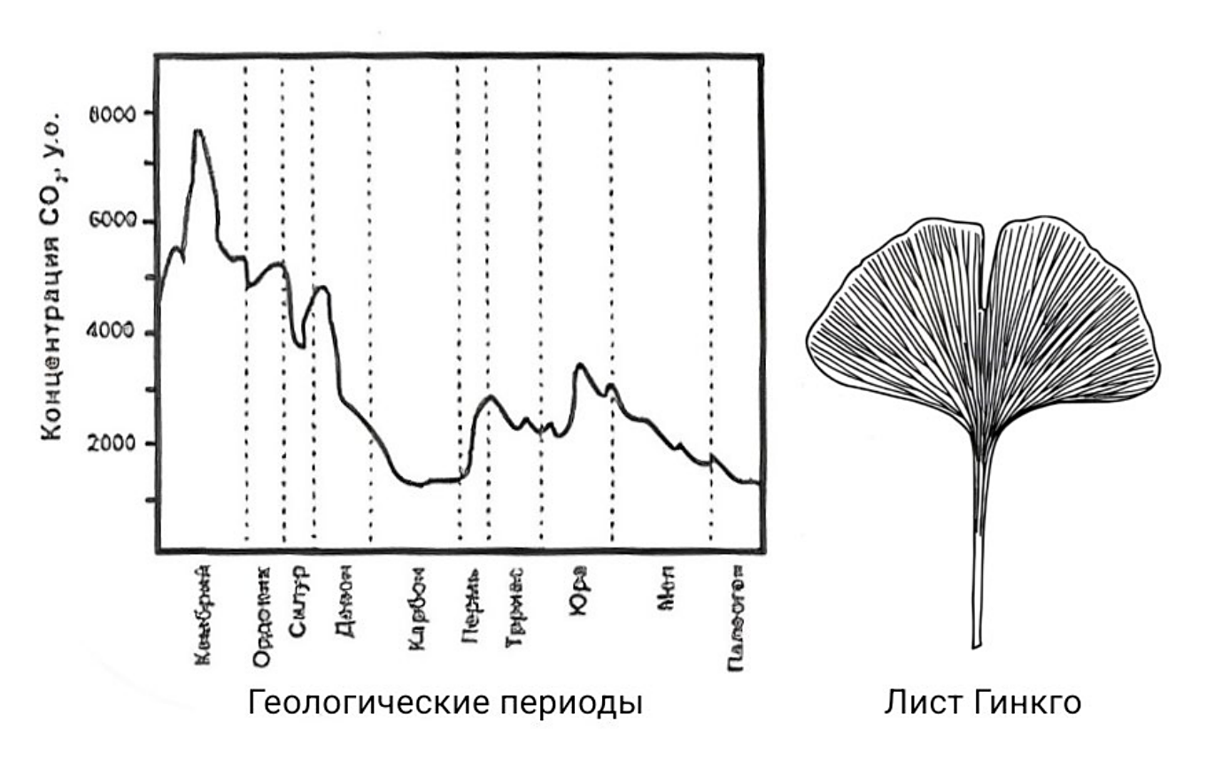Рисунок