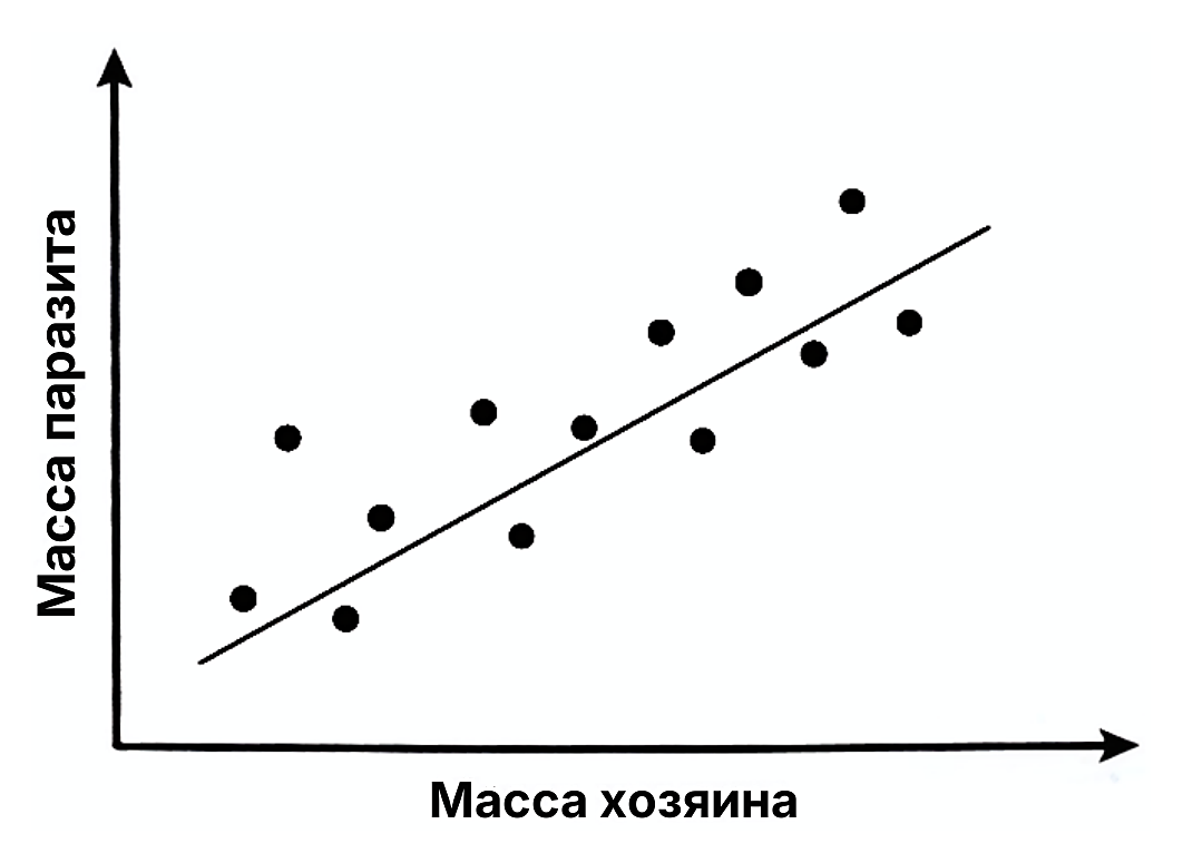 Рисунок