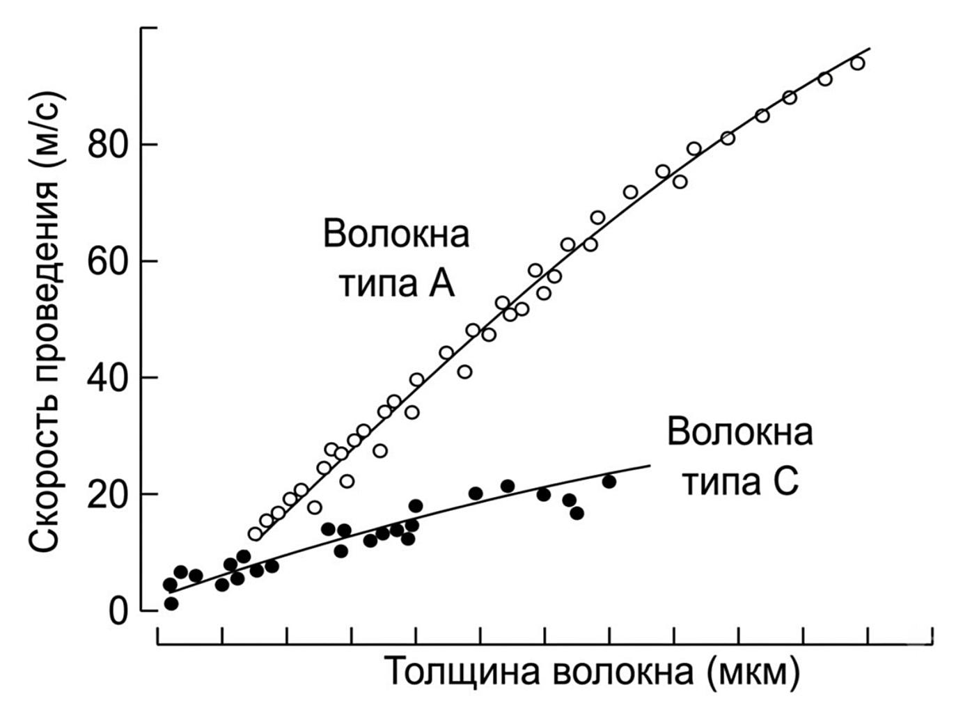 Рисунок