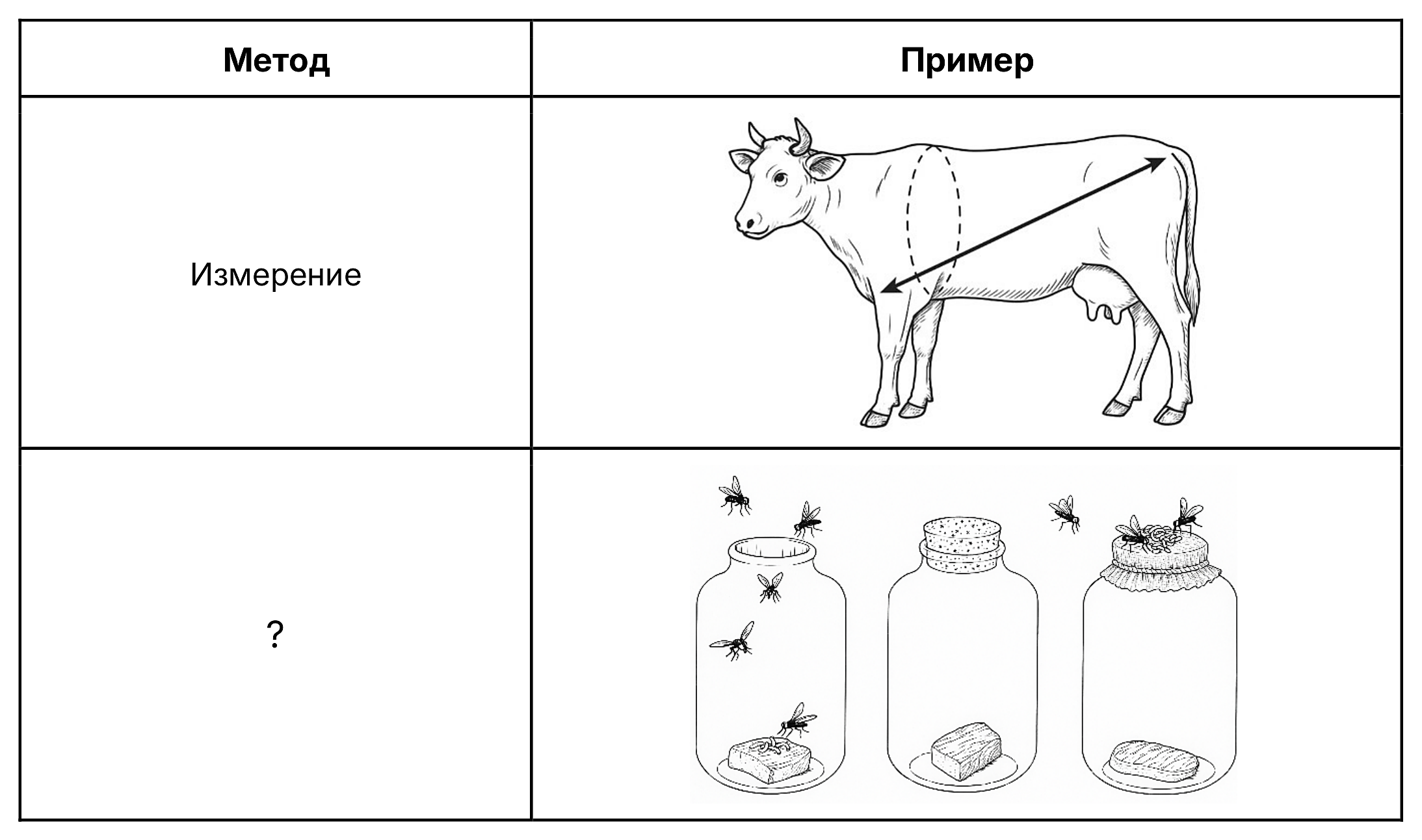 Рисунок