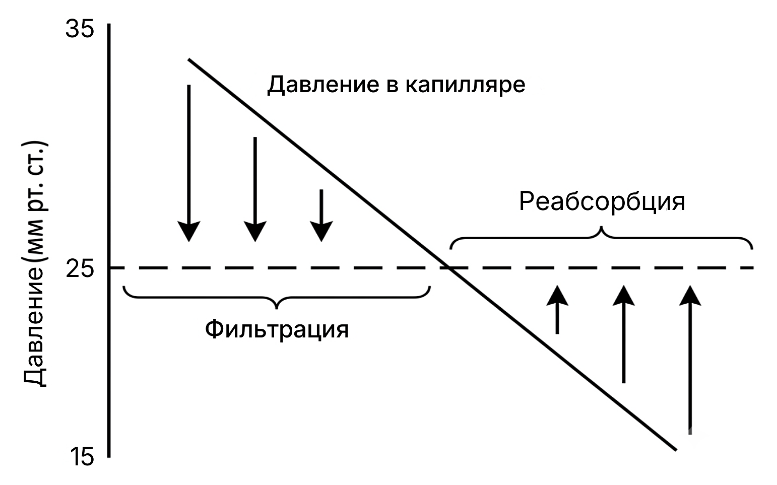 Рисунок