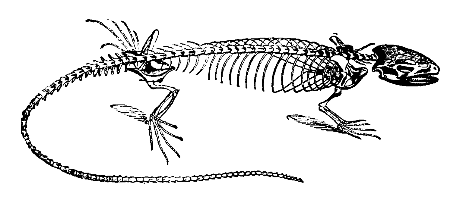 Рисунок