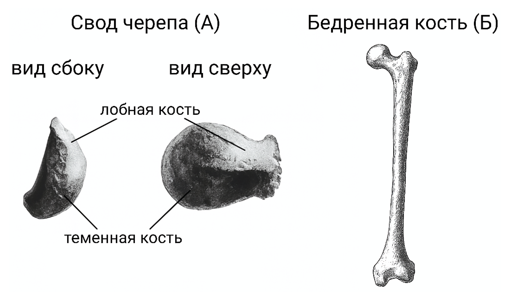 Рисунок