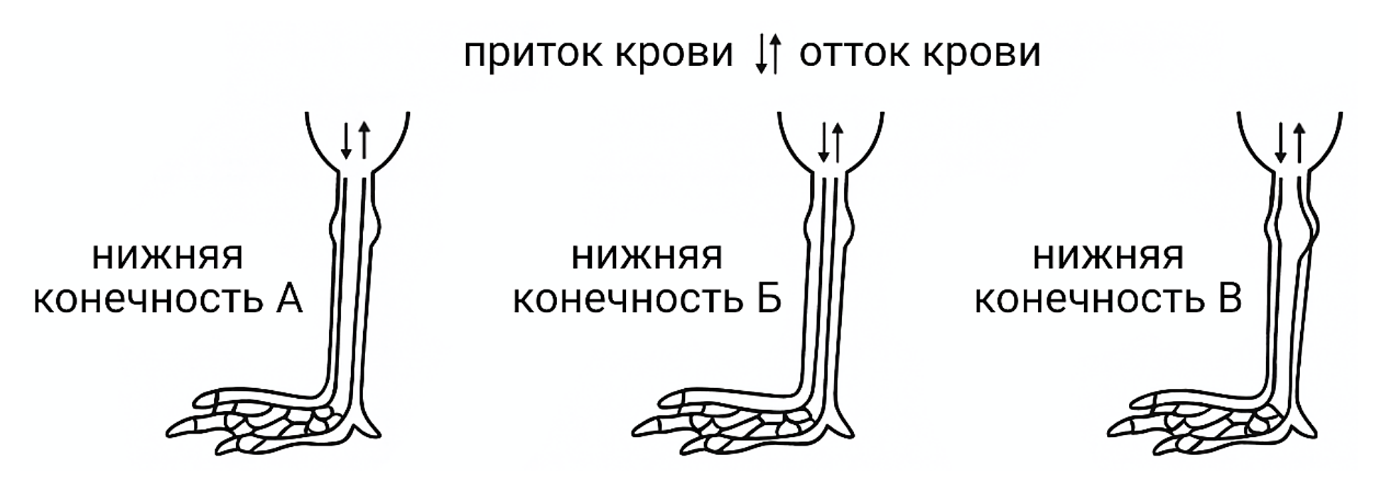 Рисунок