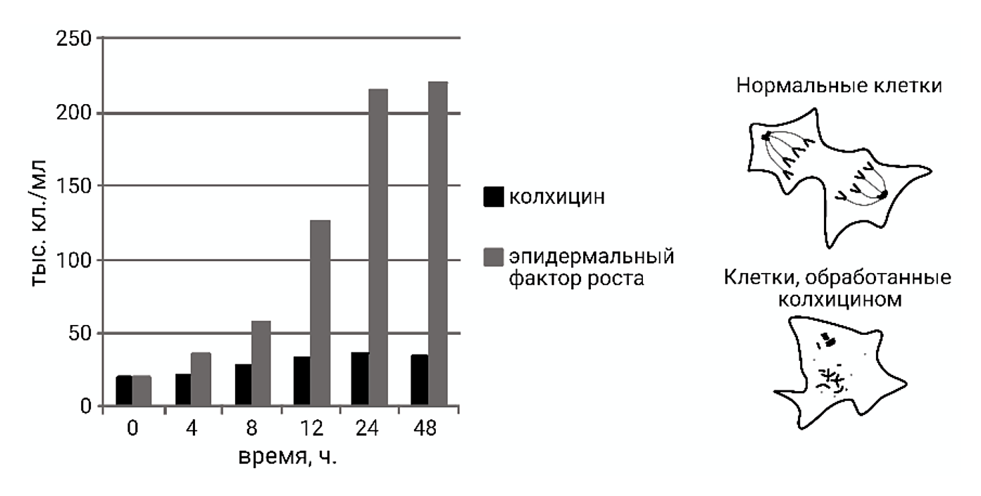Рисунок
