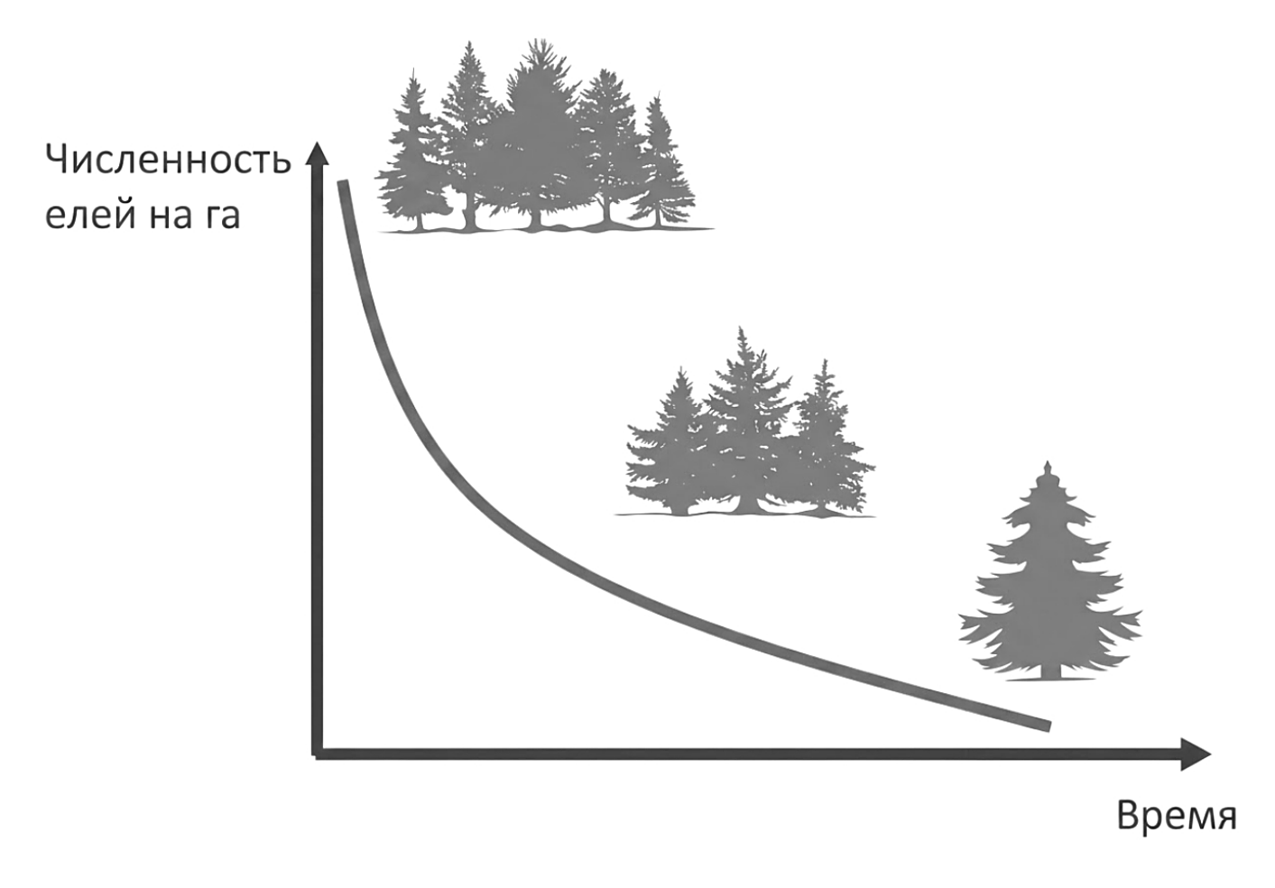 Рисунок
