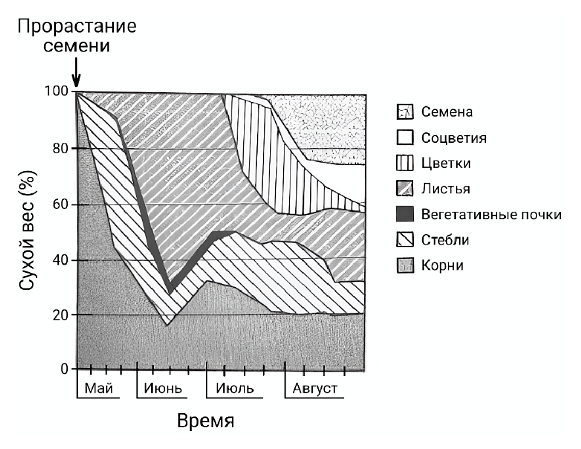 Рисунок