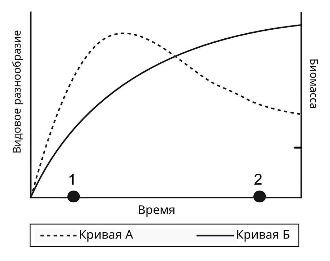 Рисунок
