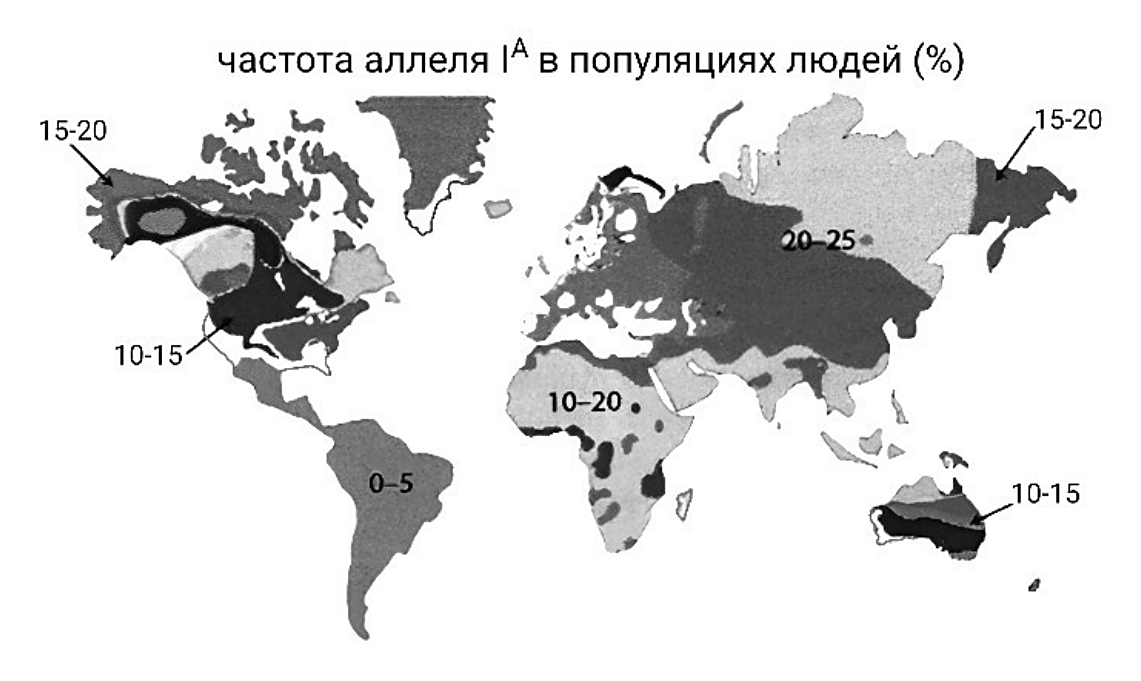 Рисунок