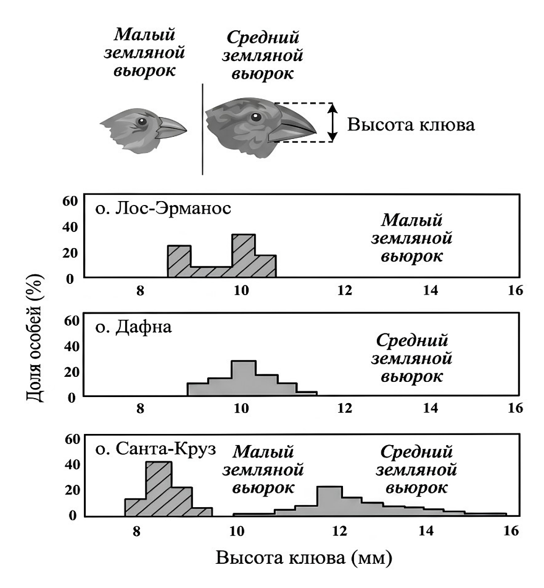 Рисунок