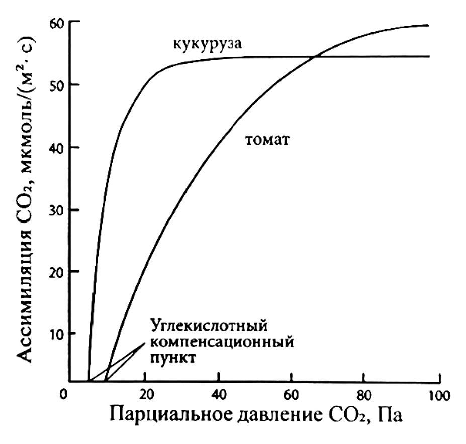 Рисунок