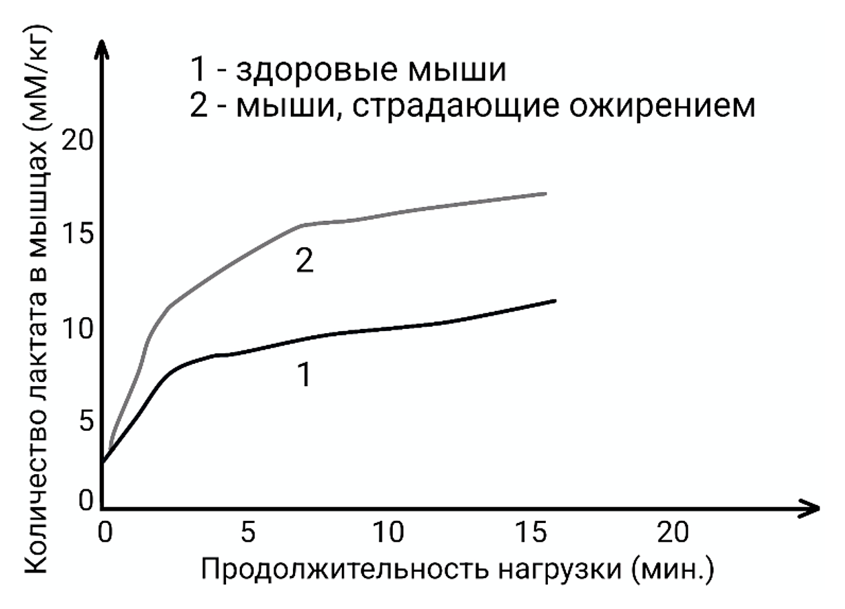 Рисунок
