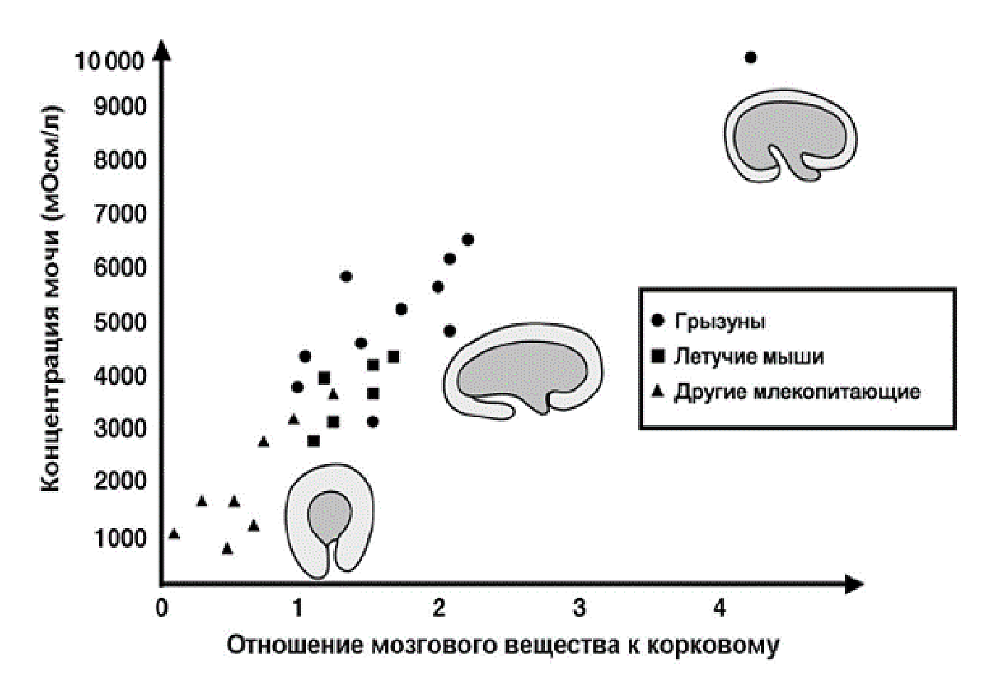 Рисунок