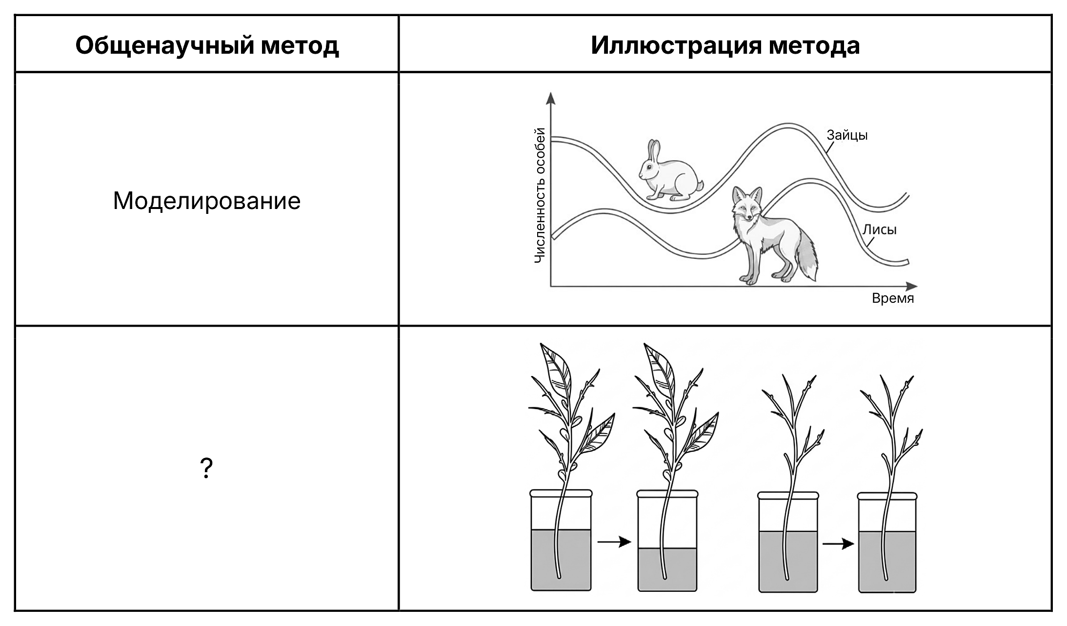 Рисунок