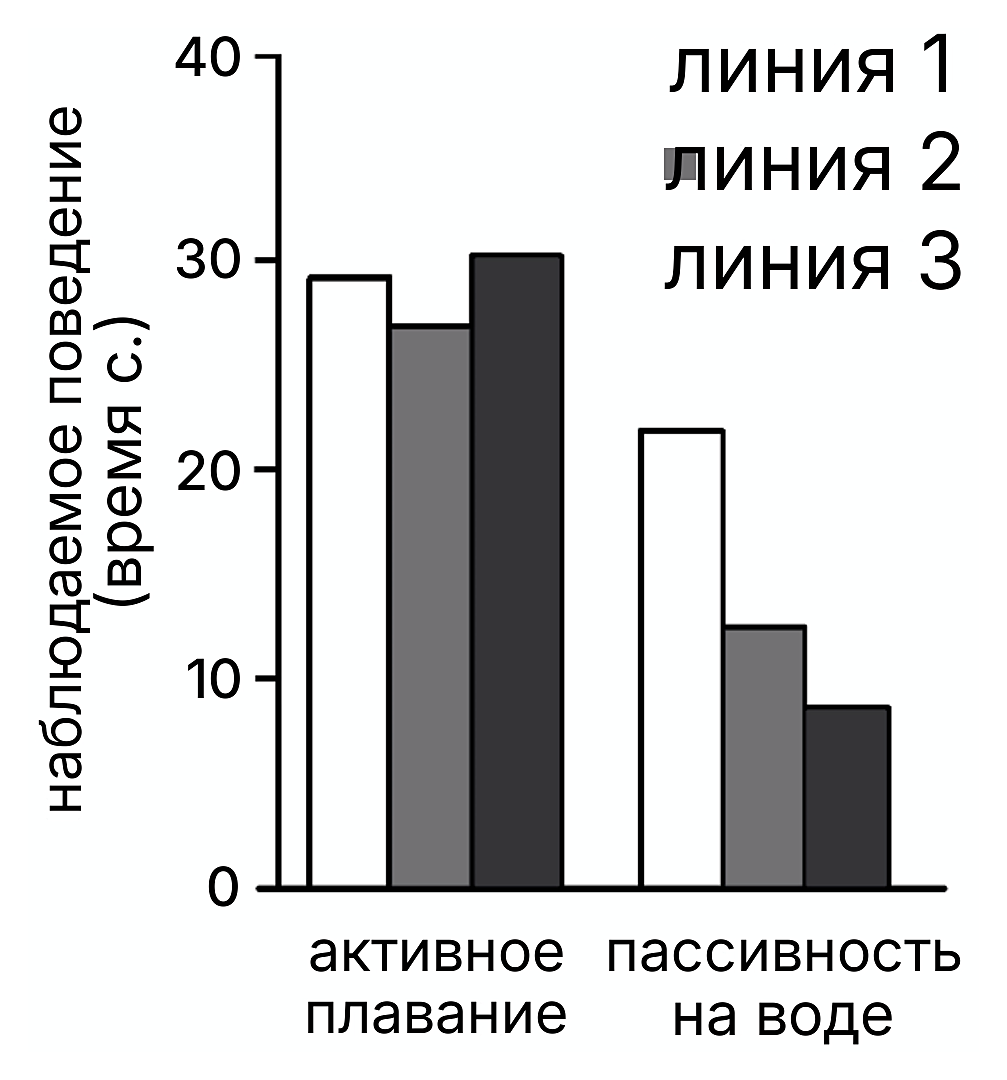 Рисунок