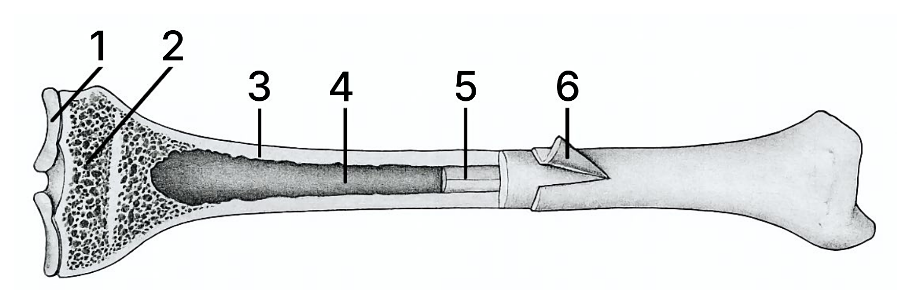 Рисунок