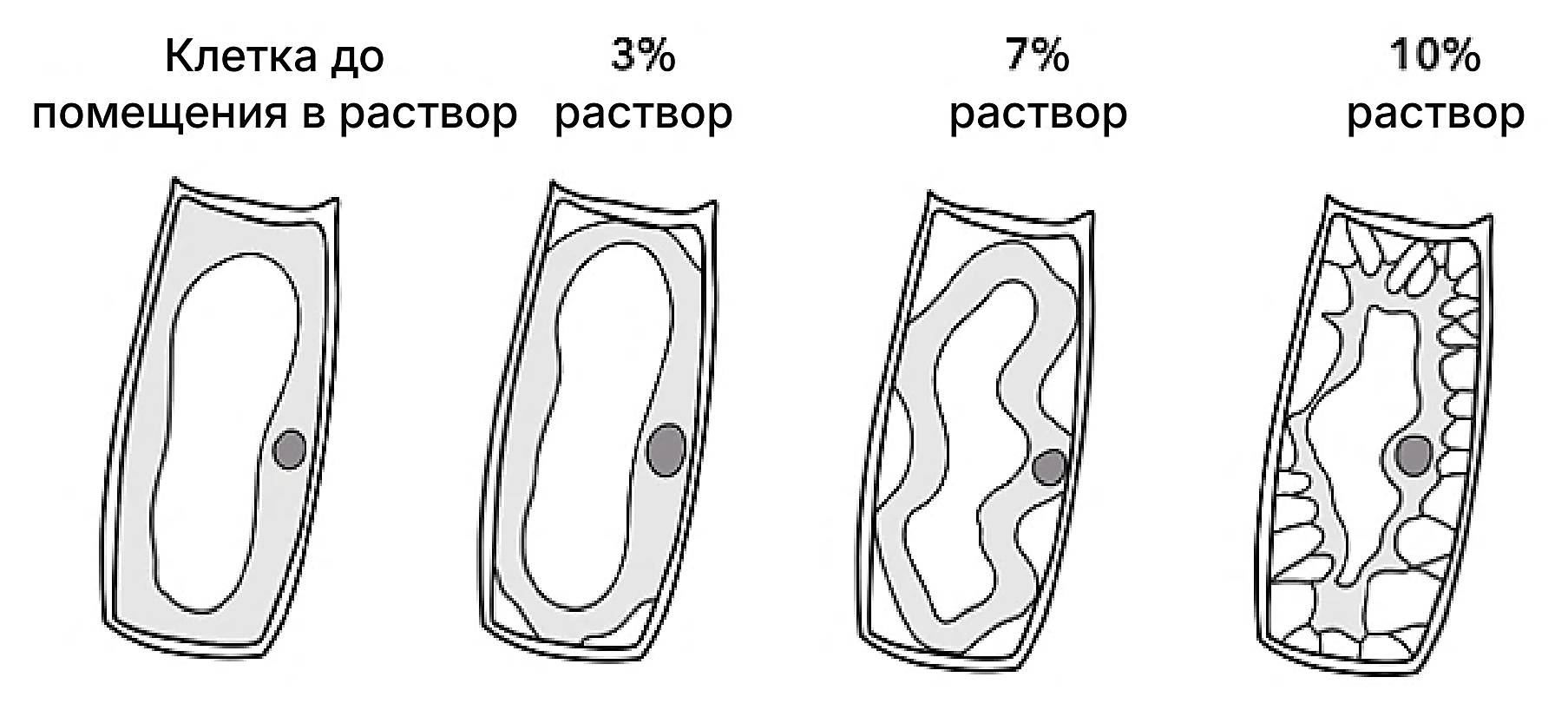 Рисунок