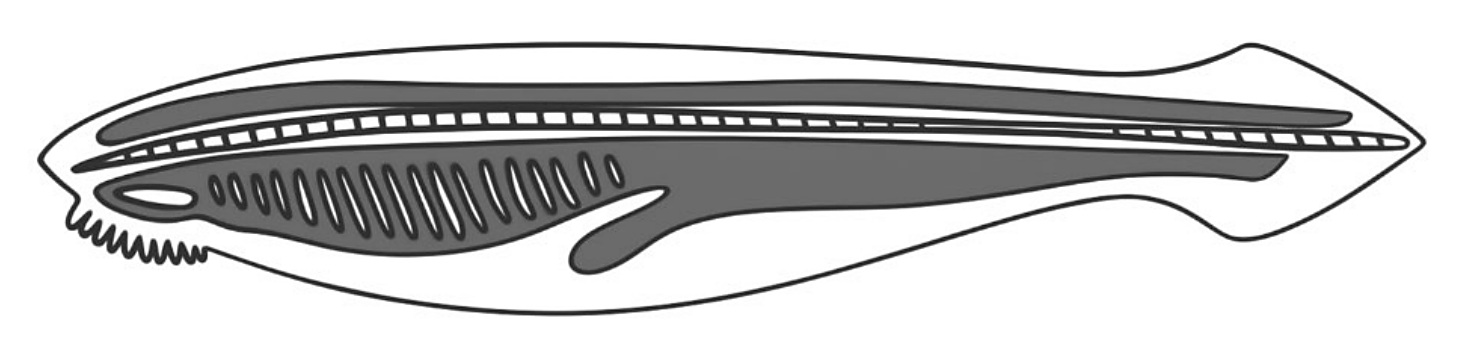 Рисунок