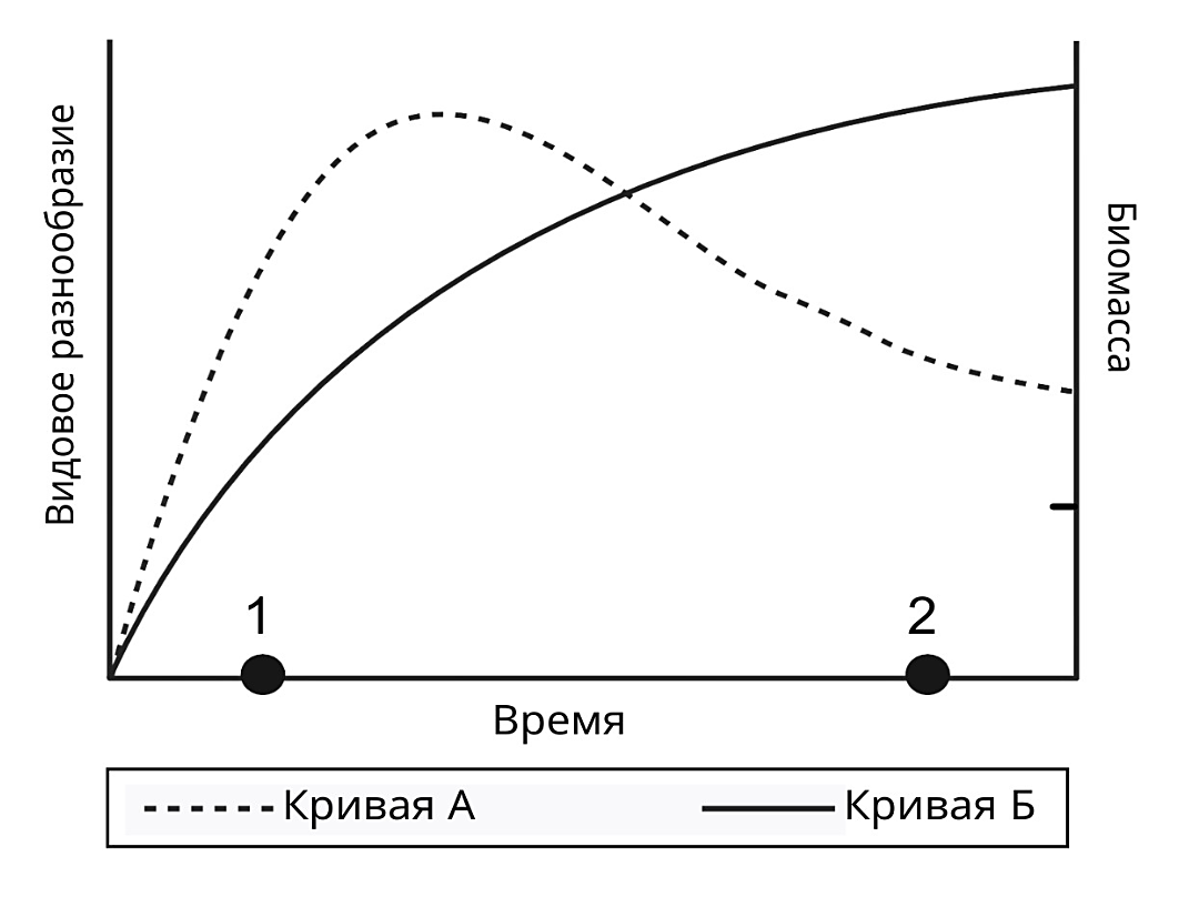 Рисунок