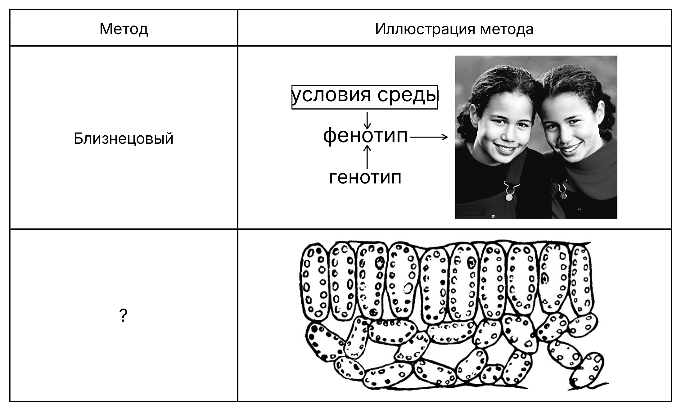 Рисунок