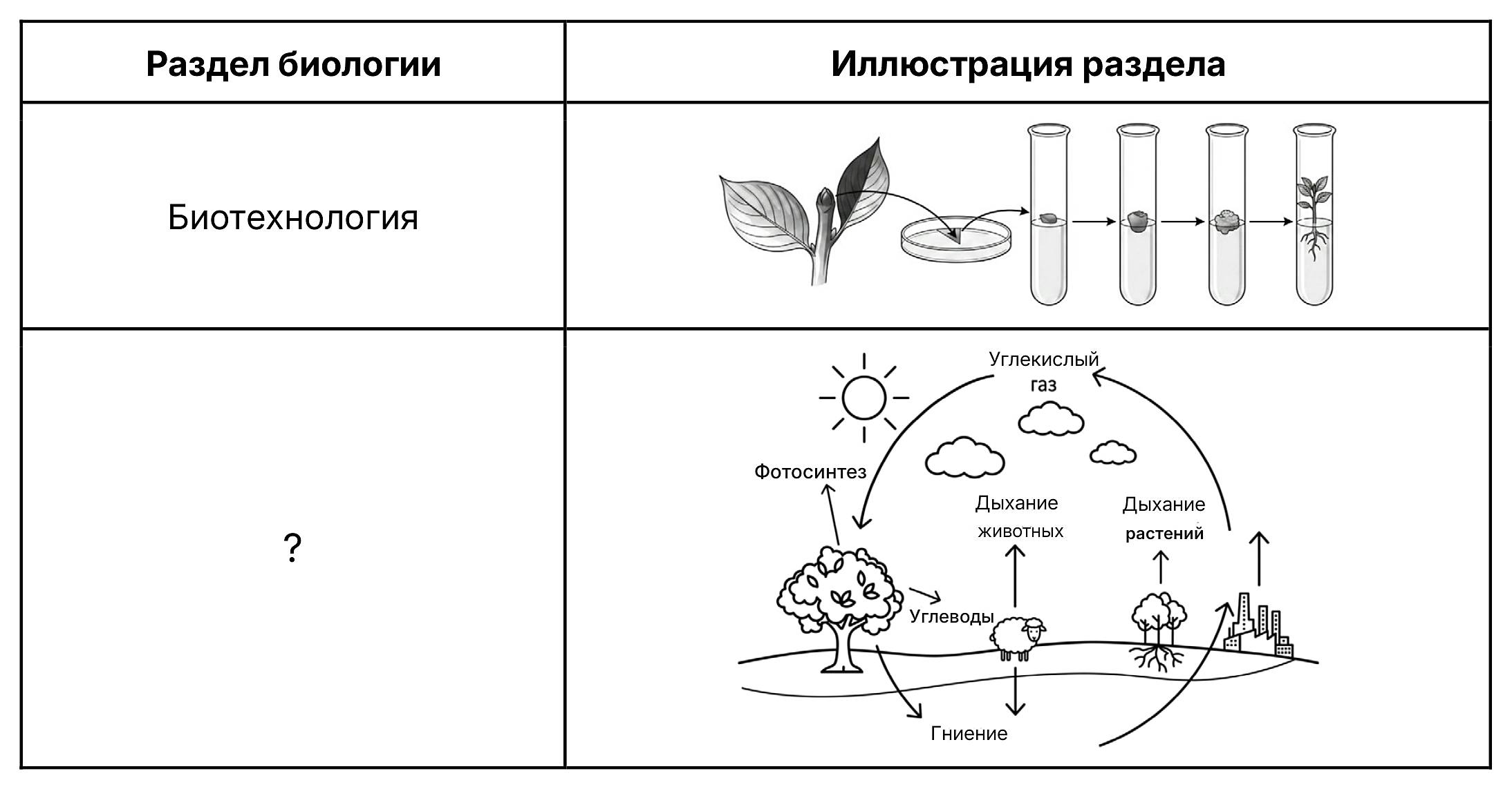 Рисунок